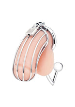 Load image into Gallery viewer, Cock Cage With Anal Stimulator - Stainless Steel