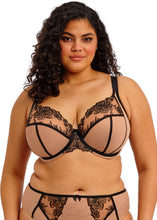 Load image into Gallery viewer, ELOMI: "Teagan" Plunge Bra - Cafe Au Lait