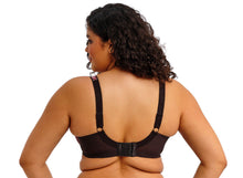 Load image into Gallery viewer, ELOMI: "Morgan" Stretch Banded Bra - Dark Romance
