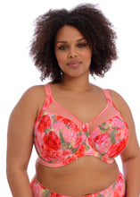 Load image into Gallery viewer, Goddess Kayla Bras - Rose Garden