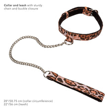 Load image into Gallery viewer, CALEXOTICS: Unleashed Adventure Set