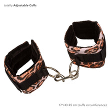 Load image into Gallery viewer, CALEXOTICS: Unleashed Adventure Set