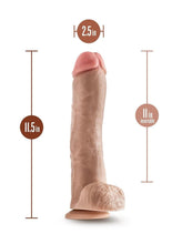 Load image into Gallery viewer, Blush - Dr Skin - Mr Savage Dildo with Suction Cup 11.5"
