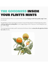 Load image into Gallery viewer, Flintts Mints Mouth Watering Oral Delights - Luxury Grape (F Strength 125) - 28-30 per tin
