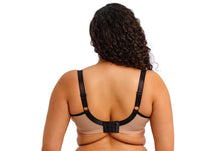 Load image into Gallery viewer, ELOMI: "Teagan" Plunge Bra - Cafe Au Lait
