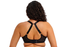 Load image into Gallery viewer, ELOMI: "Tiernie" Stretch Plunge Bra - Black
