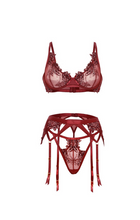 Load image into Gallery viewer, OH LA LA CHERI:  Nina Sheer 3 Piece Bra Set
