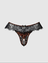 Load image into Gallery viewer, HOUSE OF DESIRE : DEVON LEOPARD AND LACE CROTCHLESS PEARL THONG

