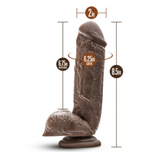Load image into Gallery viewer, Dr. Skin Mr. D Dildo with Balls and Suction Cup 8.5in - Chocolate

