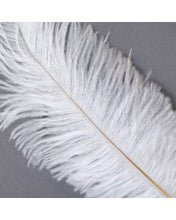 Load image into Gallery viewer, Zucker Ostrich feather 17”
