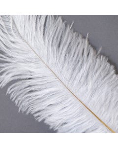 Zucker Ostrich feather 17”