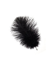 Load image into Gallery viewer, Zucker Ostrich feather 17”

